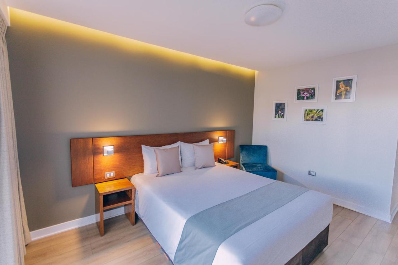 Habitación Estándar - 1 cama grande